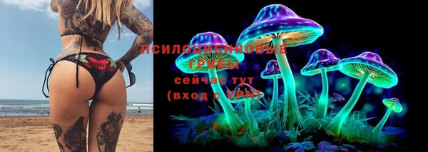 кокаин колумбия Дмитриев