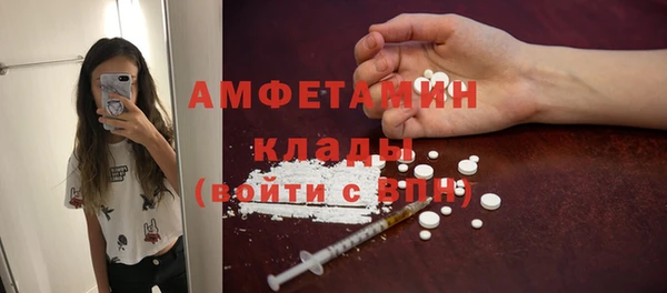 сатива Дедовск
