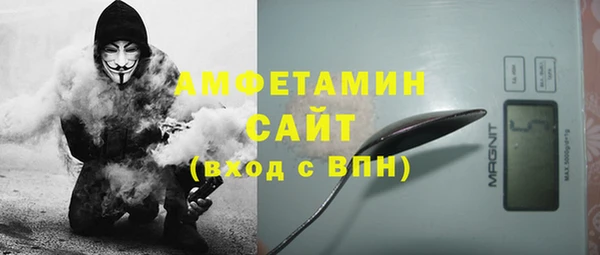 амф Дмитров