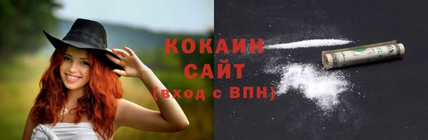 амф Дмитров