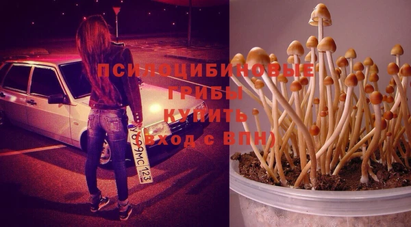 кокаин колумбия Дмитриев
